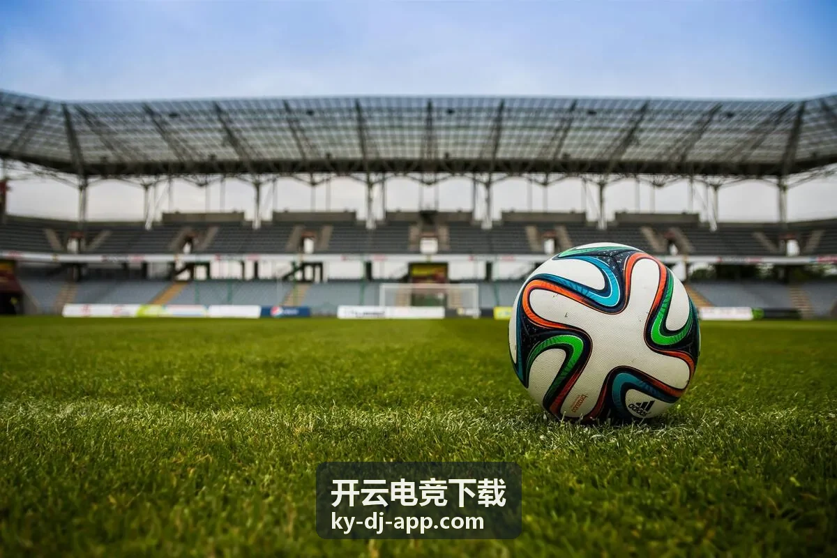 开云电竞下载案例